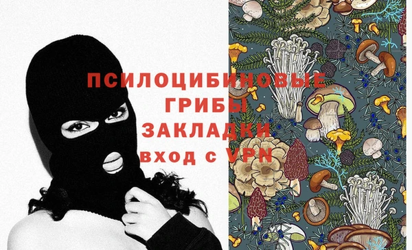 крисы Ладушкин