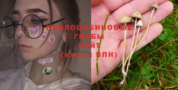 крисы Ладушкин