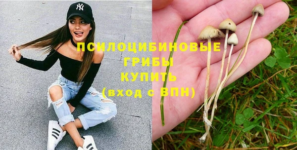 крисы Ладушкин