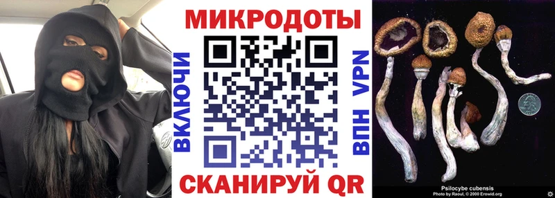 купить наркотики цена  Никольское  hydra рабочий сайт  Галлюциногенные грибы Psilocybine cubensis 